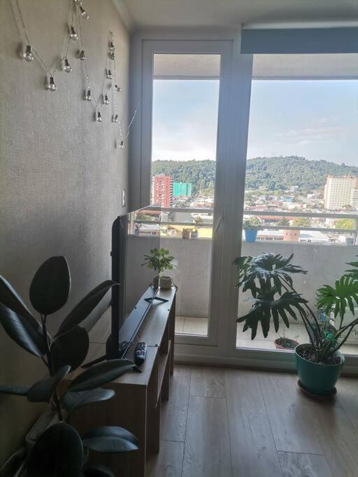 Departamento Central Y Con Hermosa Vista *